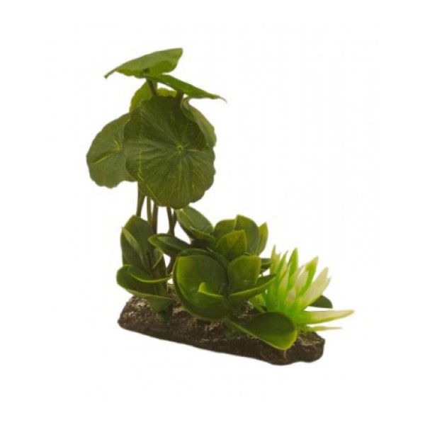 ΔΙΑΚΟΣΜΗΤΙΚΟ ΦΥΤΟ ΕΝΥΔΡΕΙΟΥ 14Χ12CM